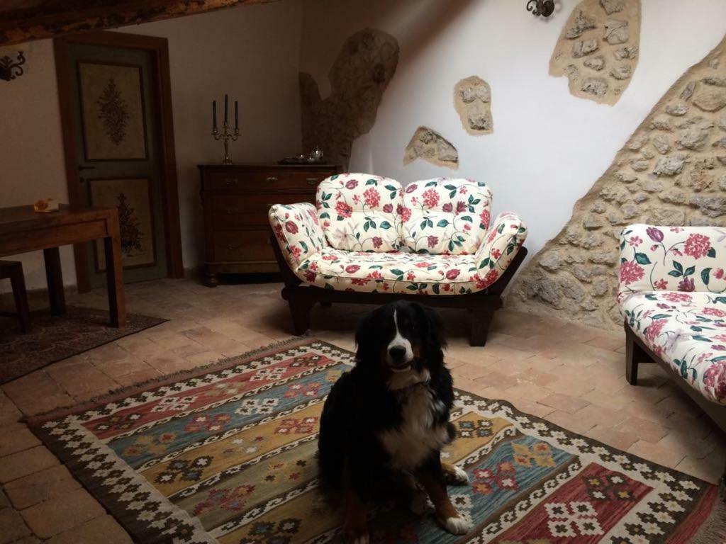 Casa Laura Villa Castel del Monte  Eksteriør billede